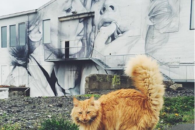 The Reykjavik Cat Walking Tour - Accessibility and Accommodations