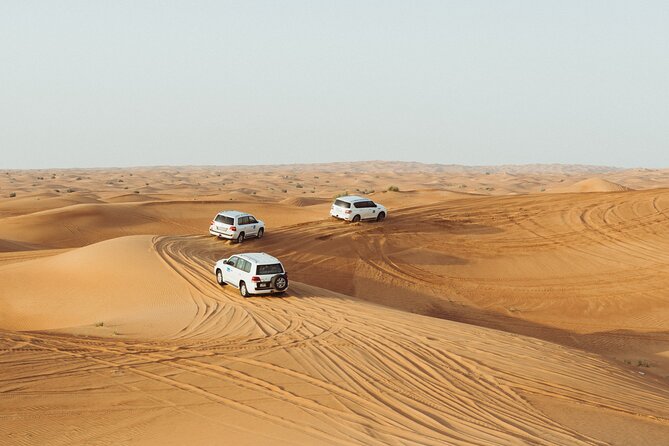 Thrilling Guided You-Drive Red Dune Buggy Tour + Safari - Group Size and Duration