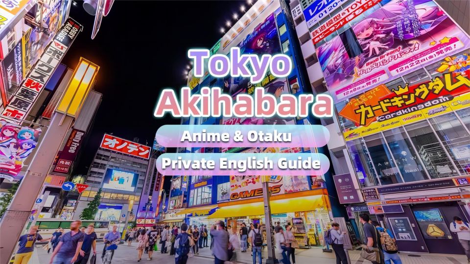 Tokyo: Anime&Otaku Private Tour With Expert English Guide - Tour Experience Highlights