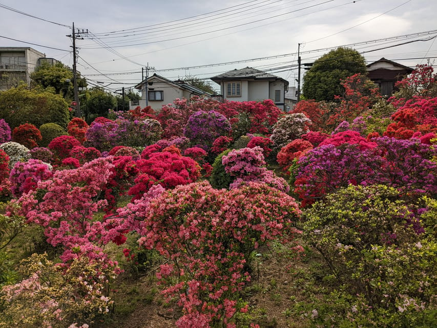 Tokyo: Hidden Temples Tour Review - Private Group Customization