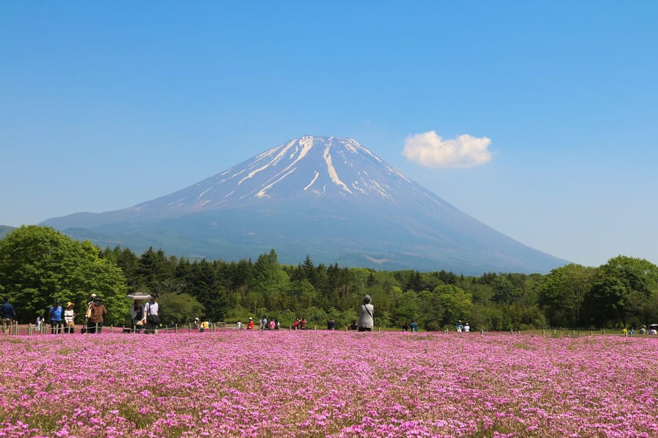 Tokyo: Mt.Fuji Private Tour With Pick & Drop Service - Chureito Pagoda