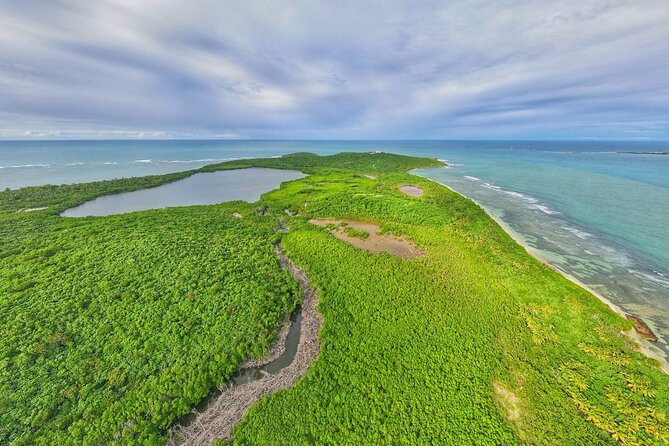 Trio Tour: El Yunque, Luquillo Beach, and Bio Bay Night Kayaking - Guided Hike and Swim in Rainforest River