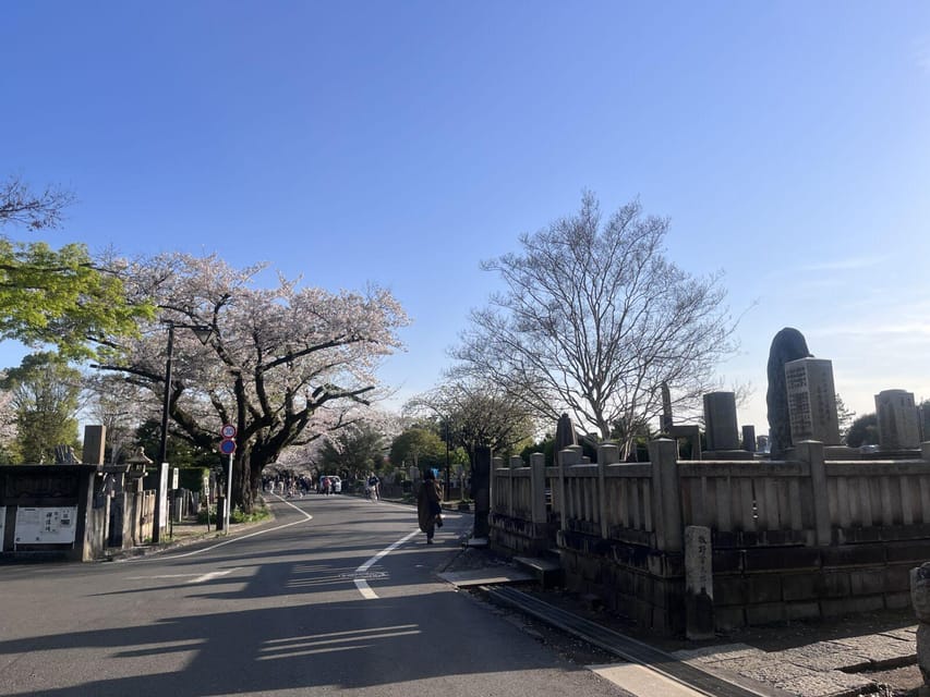 Ueno and Yanaka Day Walking Tour Review - Experiencing Yanaka Ginza