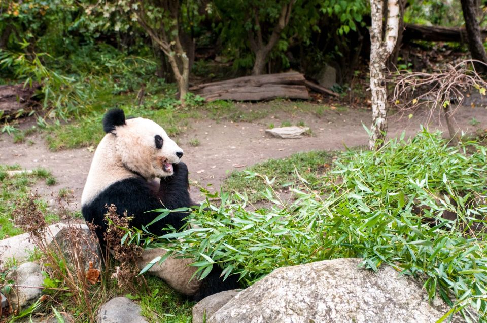 Vienna: Skip-the-line Tickets for Schönbrunn Zoo - Location and Entrances