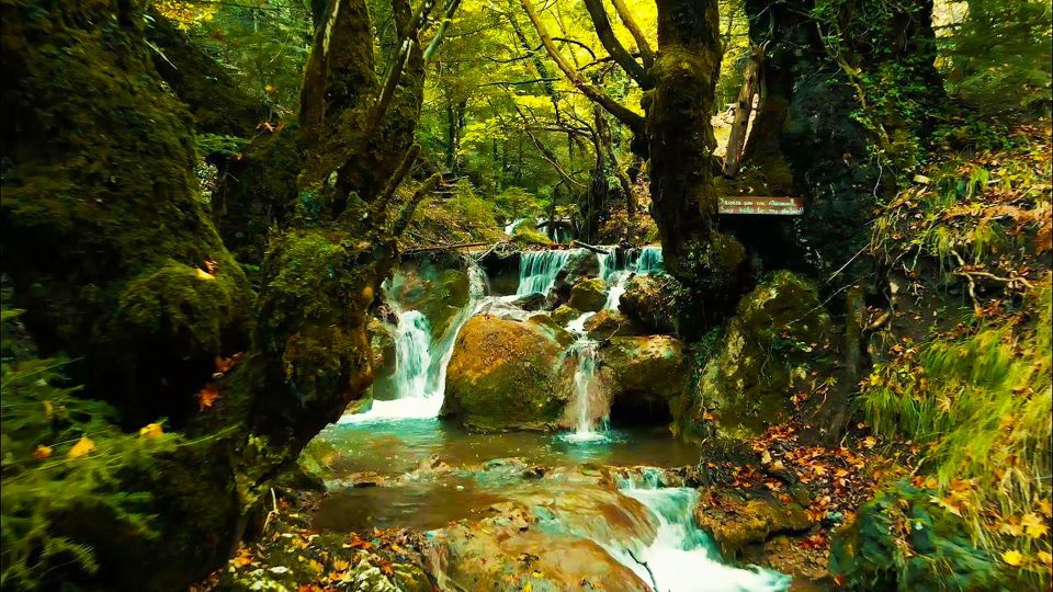 VIP Day Tour From Athens: Pavliani Forest Park TREK - Important Information