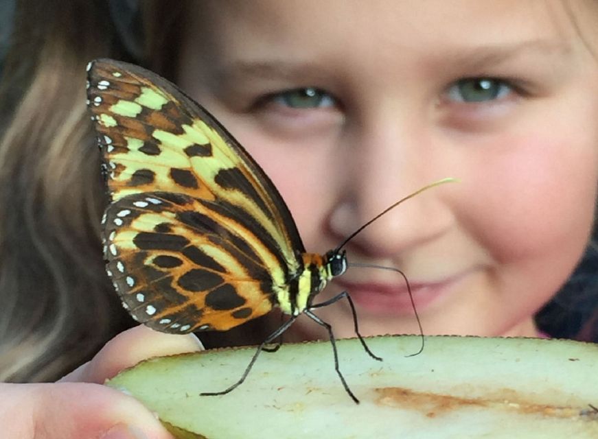 Warwickshire: The Explorer Pass by Shakespeares England - Butterfly Farm Adventures