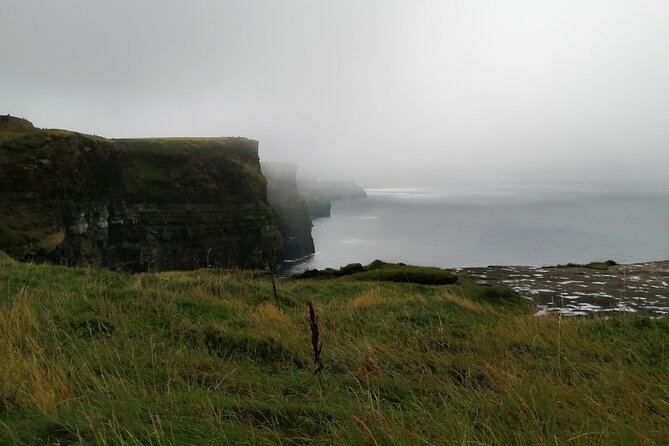 Wild Atlantic Way Tour in Ireland - Sheepdog Demonstration