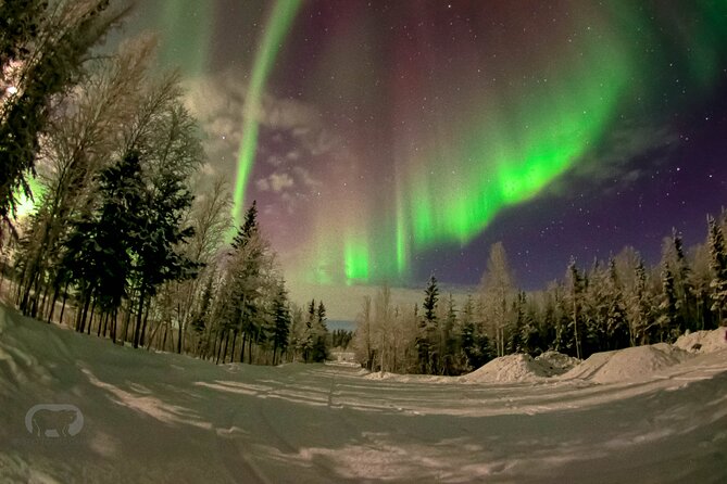 Yellowknife 2 Nights Aurora Hunting and Viewing in Lakeview Cabin - Photography and Emailed Photos