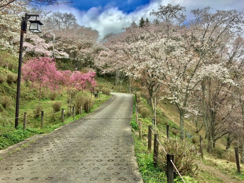 Yoshino: Private Guided Tour & Hiking in a Japanese Mountain - Frequently Asked Questions