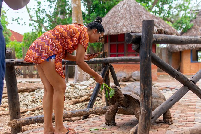 Zanibar Prison Island Boat Trip - Snorkeling and Giant Tortoises