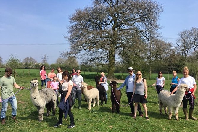 2-Hour Alpaca Farm Experience in Kenilworth - Additional Information