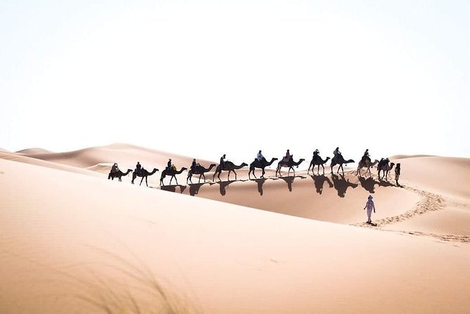 3 Day to Sahara Desert Trip From/To Marrakech - Overnight Safari in Erg Chebbi