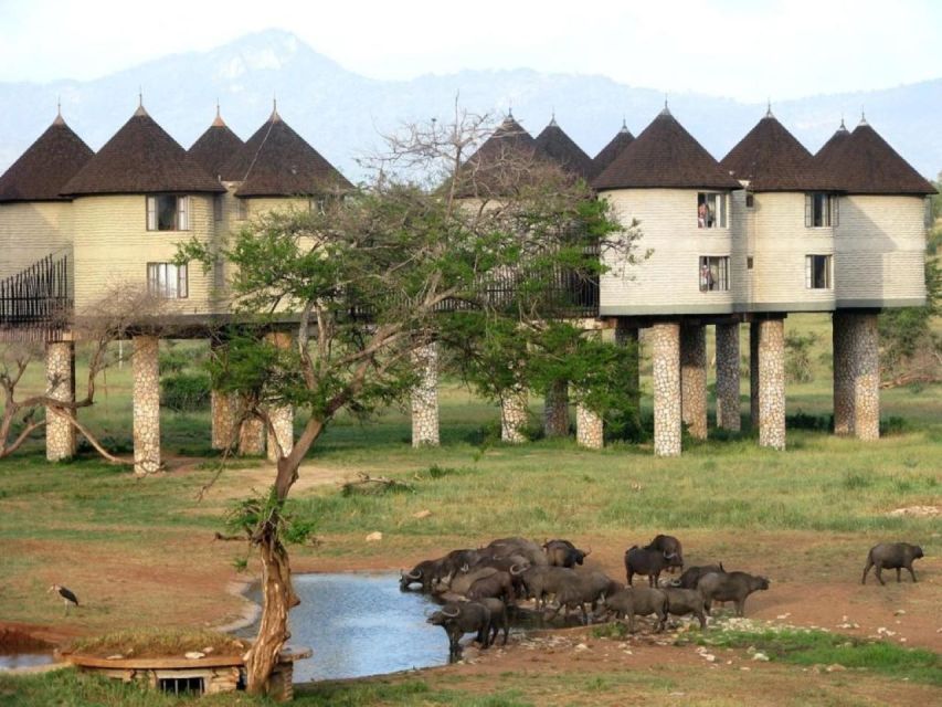 3 Days Safari to Saltlick Lodge From Nairobi - Additional Information