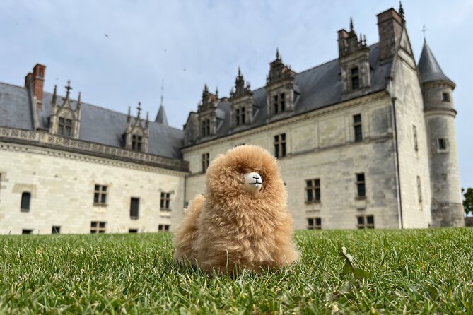 3 Loire Valley Castles and Wine Tasting Private Guided Tour - Secure Your Spot