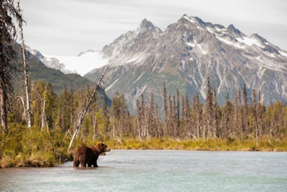 Anchorage: Kenai Fjords & Denali National Park 5 Day Tour - Restrictions and Requirements