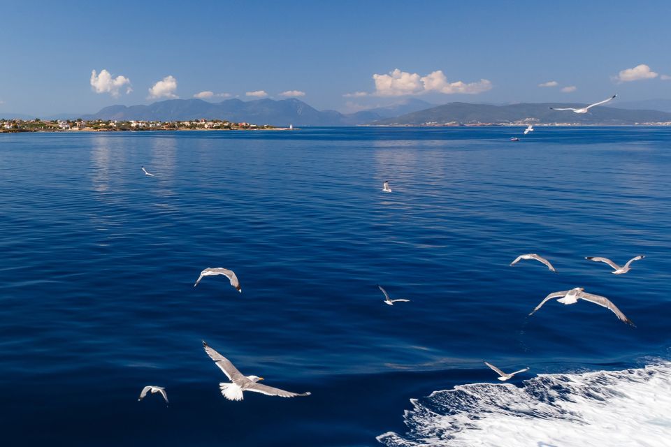 Athens: Guided Day Trip to Aegina Island With Swimming - Customer Experiences and Feedback