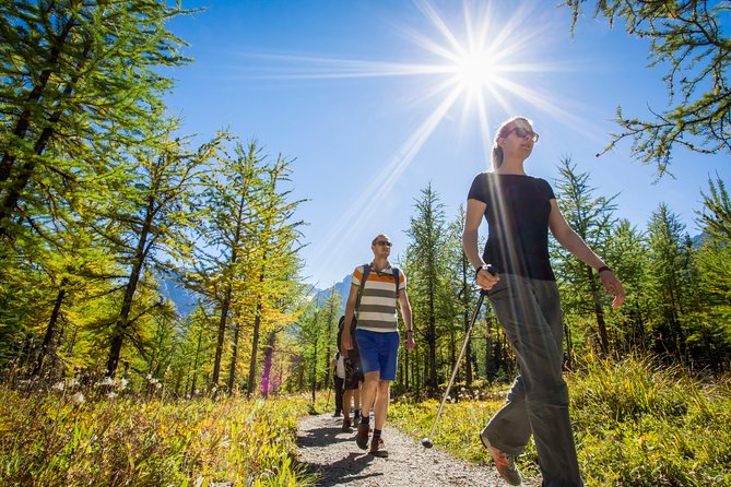 Banff National Park Guided Hike With Lunch - Group Size and Accessibility