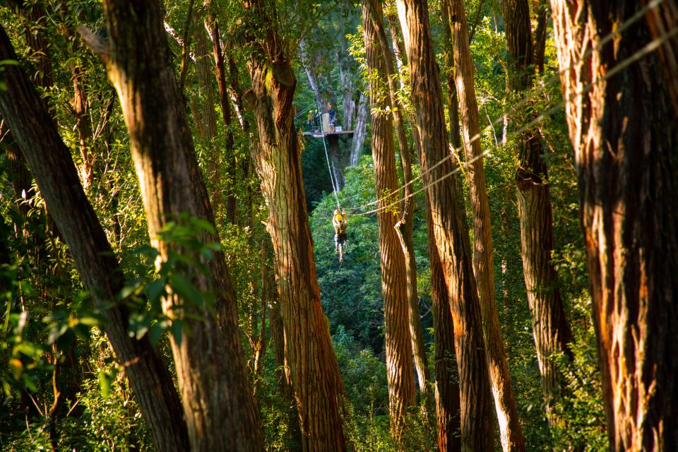 Big Island: Full-Day Kohala Zipline and Waterfall Adventure - Pickup and Drop-off Locations