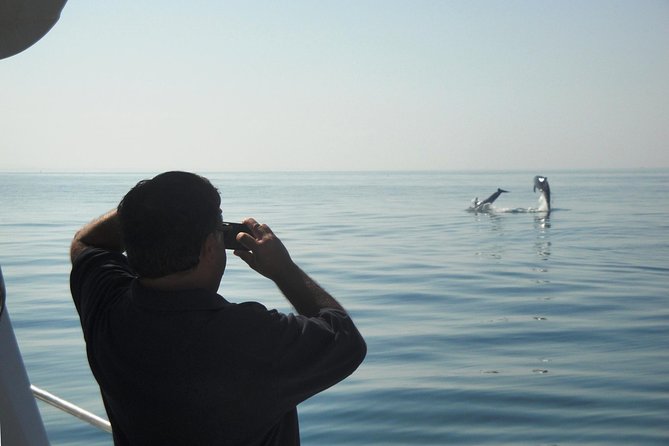 Boat Trip for Dolphin Watching Along the Arrabida Coast and Sesimbra - Maximum Participants