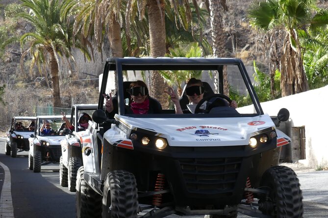 Buggy Tour of 2 Hours in the Afternoon With Transfers Only South Zone - Weather Considerations