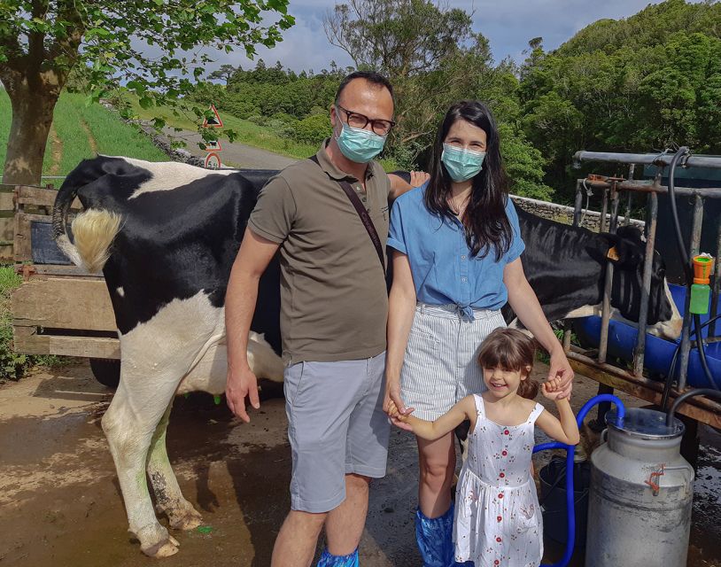 Dairy Farm Visit and Cow Milking Experience in Azores - Cancellation Policy