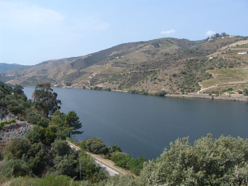 Douro Valley Wine Road Trip, 2 Vineyards Lunch River Cruise - Certification for Wine Connoisseurs