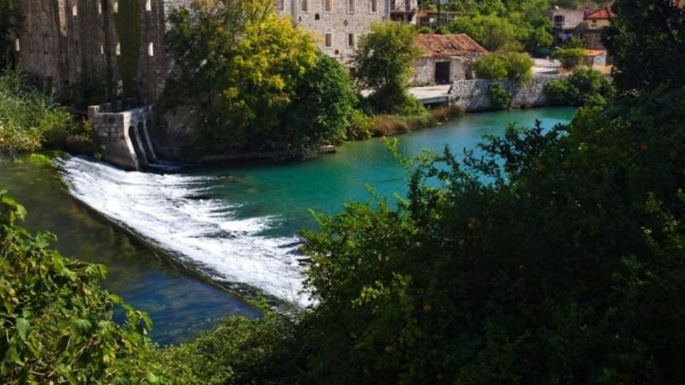 Dubrovnik Sightseeing And Visiting The Botanical Garden - Trsteno Arboretum