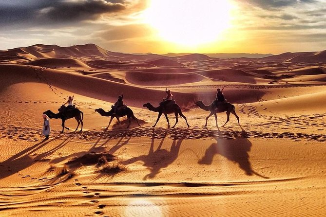 Early Morning Desert Safari With Camel Trekking Experience - Booking and Cancellation