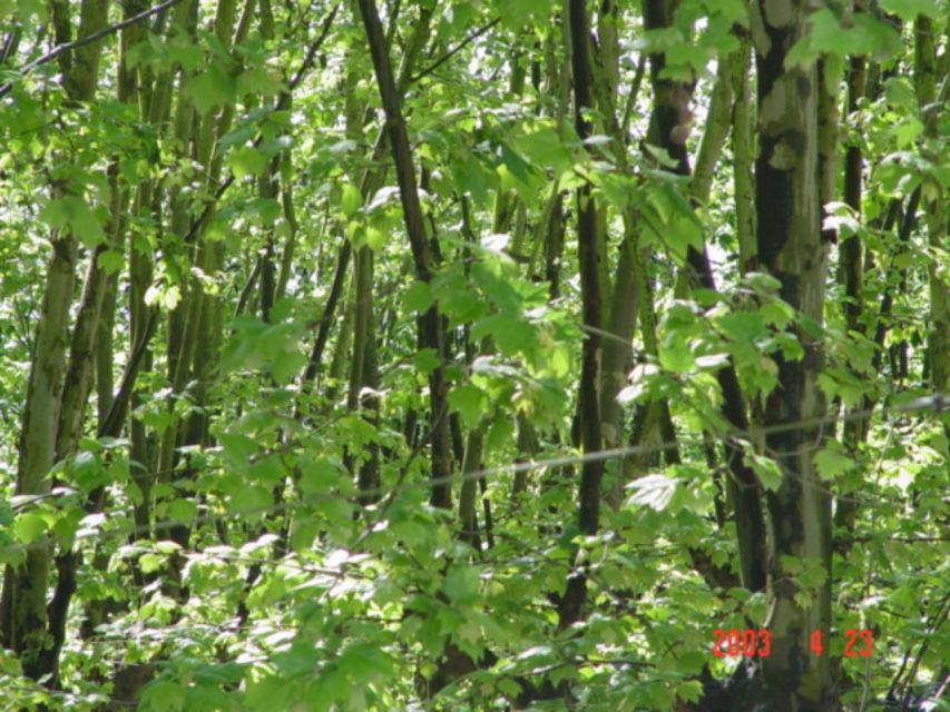 ECO Walking Tour Sistelo/Geres Walkways - Restrictions