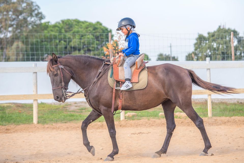 Equestrian Baptism - Participant Connection