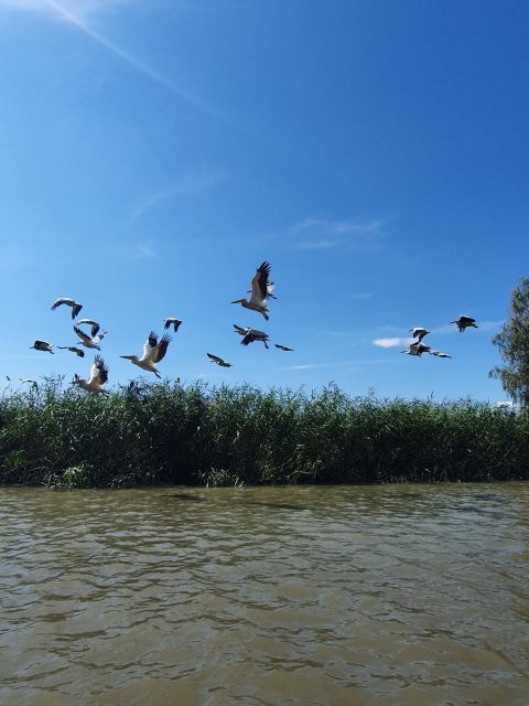 Explore Danube Delta and Black See in 2 Day Private Tour - Frequently Asked Questions