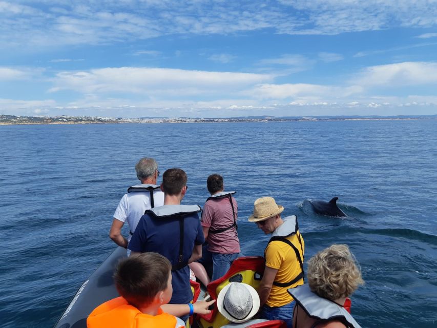 From Albufeira: Benagil Caves and Dolphins Guided Boat Tour - Frequently Asked Questions