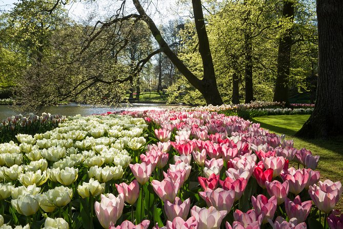 From Amsterdam: Keukenhof Flower Park Ticket and Transfer 2025 - Traveler Information