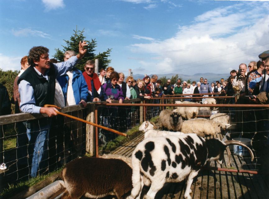 From Killarney: Ring of Kerry Mountain Road 1-Day Bus Tour - Frequently Asked Questions