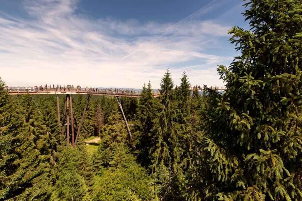 From Krakow: Slovakia Treetop Walk Bachledka Private Tour - Frequently Asked Questions