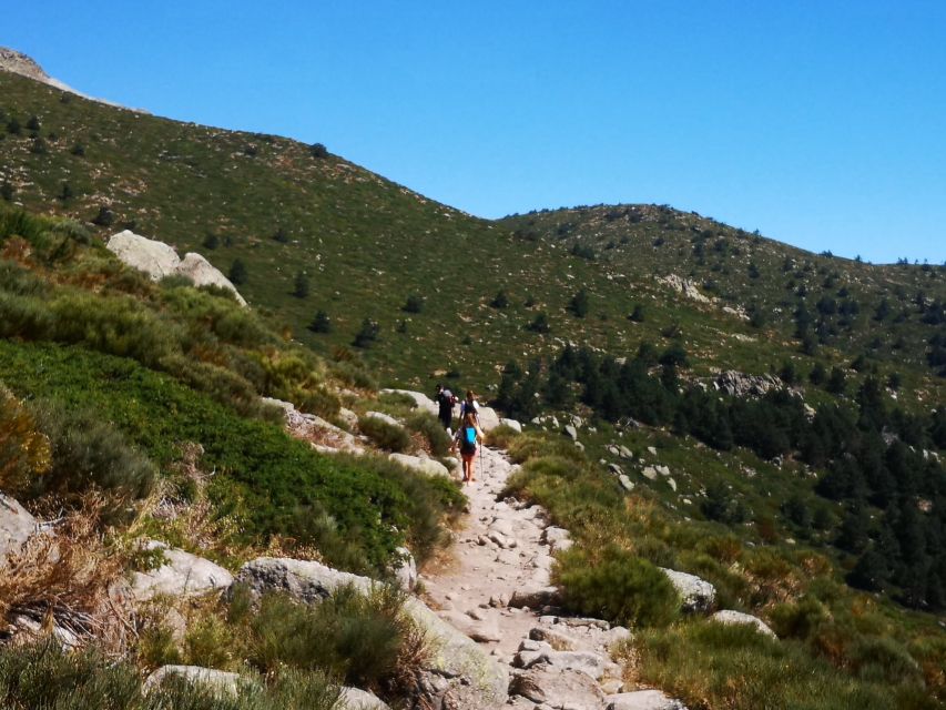 From Madrid: Day Trip to Guadarrama National Park - Things To Known