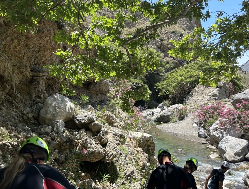 From Plakias: Kourtaliotiko Gorge Guided River Trekking - Customer Reviews