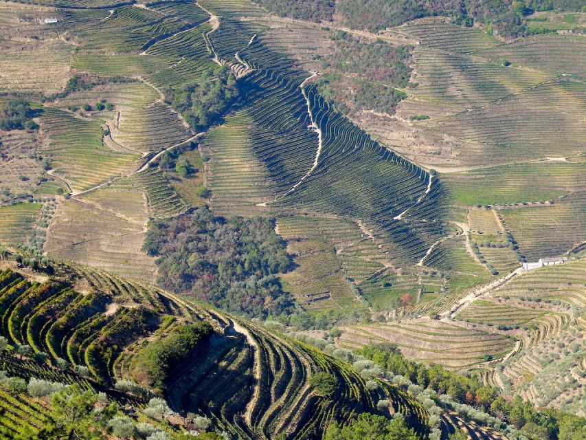 From Porto: Douro Region Private Food and Wine Day Tour - Inclusions and Exclusions