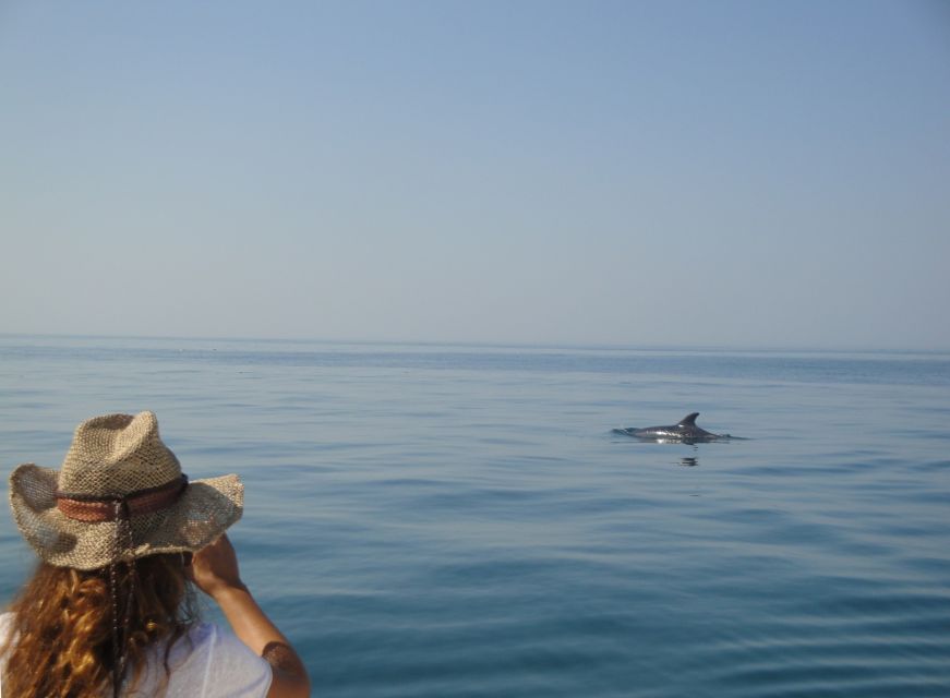 From Sesimbra: Arrábida Dolphin Watching Boat Tour - Frequently Asked Questions