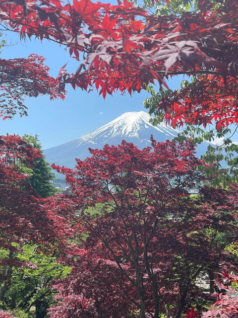 From Tokyo: Mount Fuji Day Trip With English Speaking Driver - Optional Activities and Upgrades