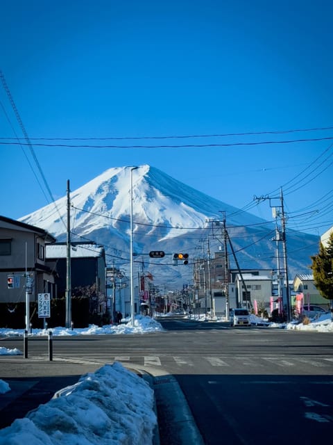 From Tokyo: Mt Fuji and Lake Kawaguchiko Private Day Trip - Frequently Asked Questions