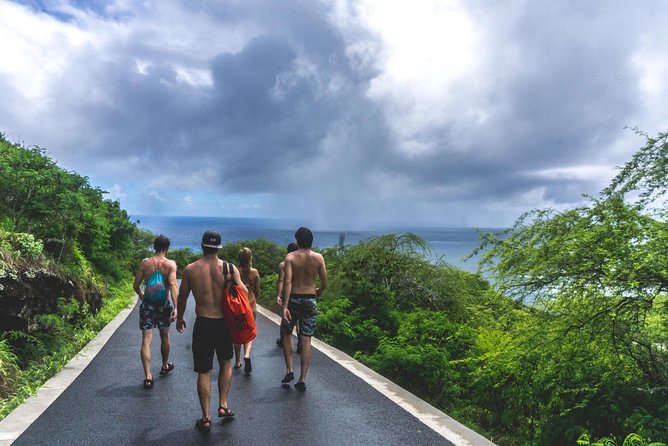 Full-Day at Los Haitises National Park - Professional Local Guide