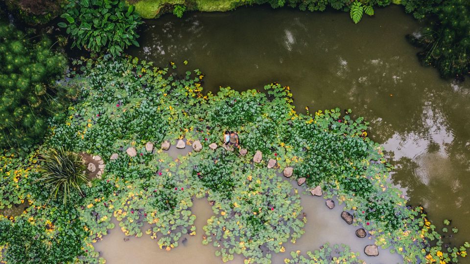 Furnas & Terra Nostra Botanic Park Guided Tour W/ Hotsprings - Tour Inclusions and Exclusions