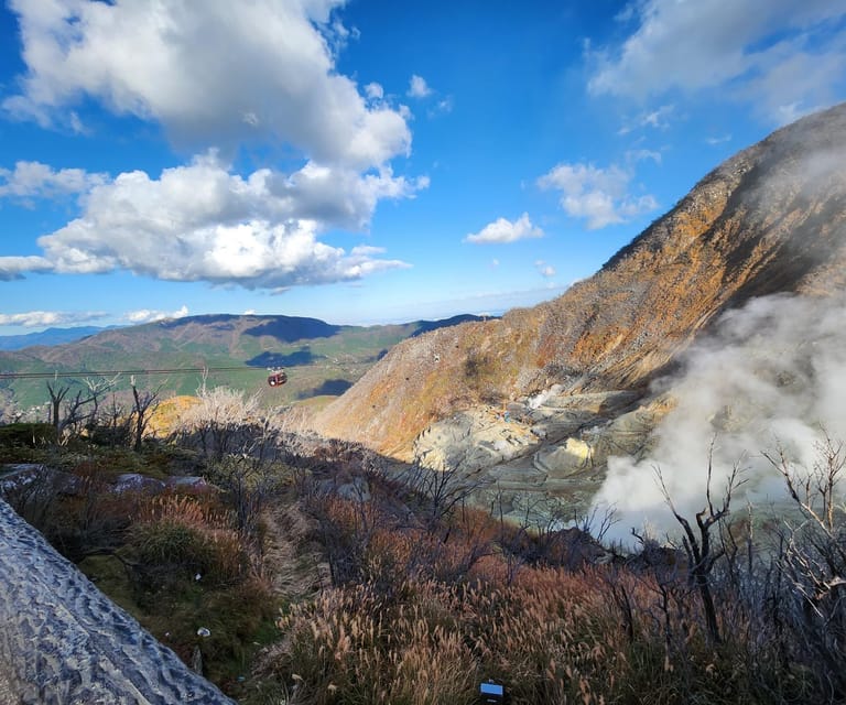 Hakone Private Day Tour With English Speaking Driver - Reserve Now & Pay Later