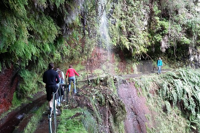 Hike in Laurisilva Levada Do Rei - Madre of Life Small Group Guided Walk - Hassle-Free With Guide