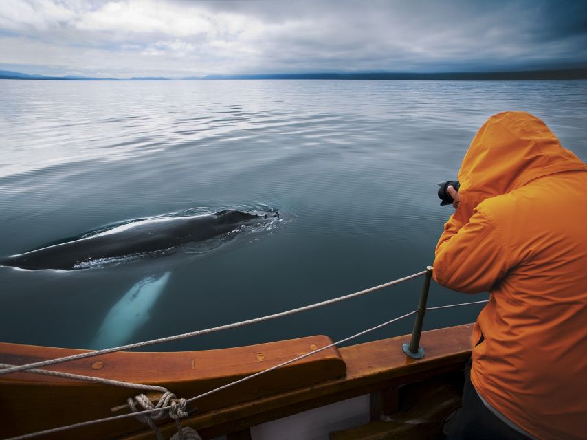 Húsavík: Whale Watching on a Carbon Neutral Oak Boat - Accessibility and Attire