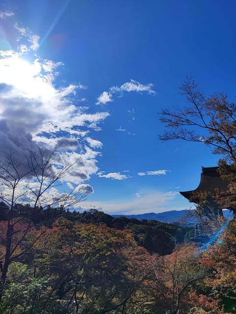 Kyoto Imaginary Experience - Ticket Entry Restrictions