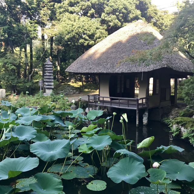 Kyoto: Tea Ceremony in a Japanese Painters Garden - Highlights and Recommendations