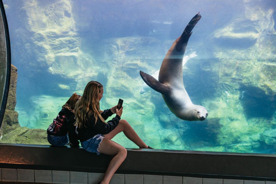 LA: Aquarium of the Pacific Skip-the-Line Entry - Customer Reviews