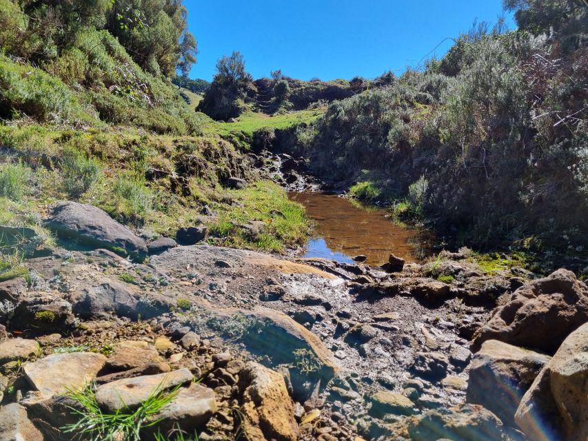 Madeira: SkyWalk, Fanal, Natural Pools 4x4 Jeep Tour - Inclusions and Exclusions